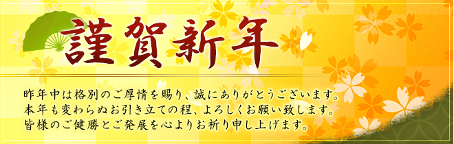 bnr_cp_newyear20160101