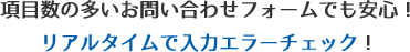 リアルタイムで入力内容のエラーチェックを行うお問い合わせフォーム